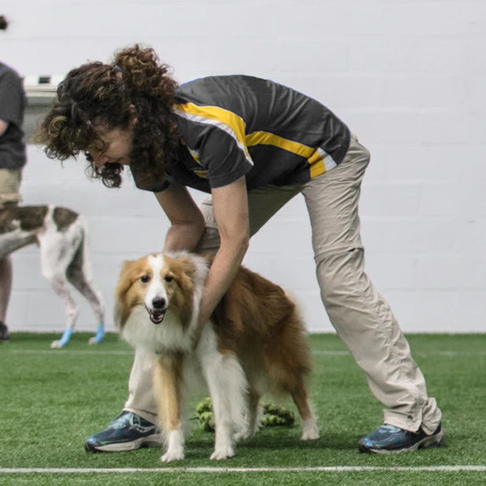 Handler with a dog during an indoor flyball competition
